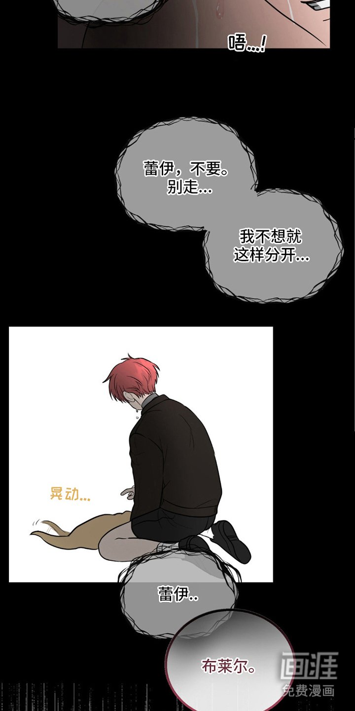 第11章：因为喜欢