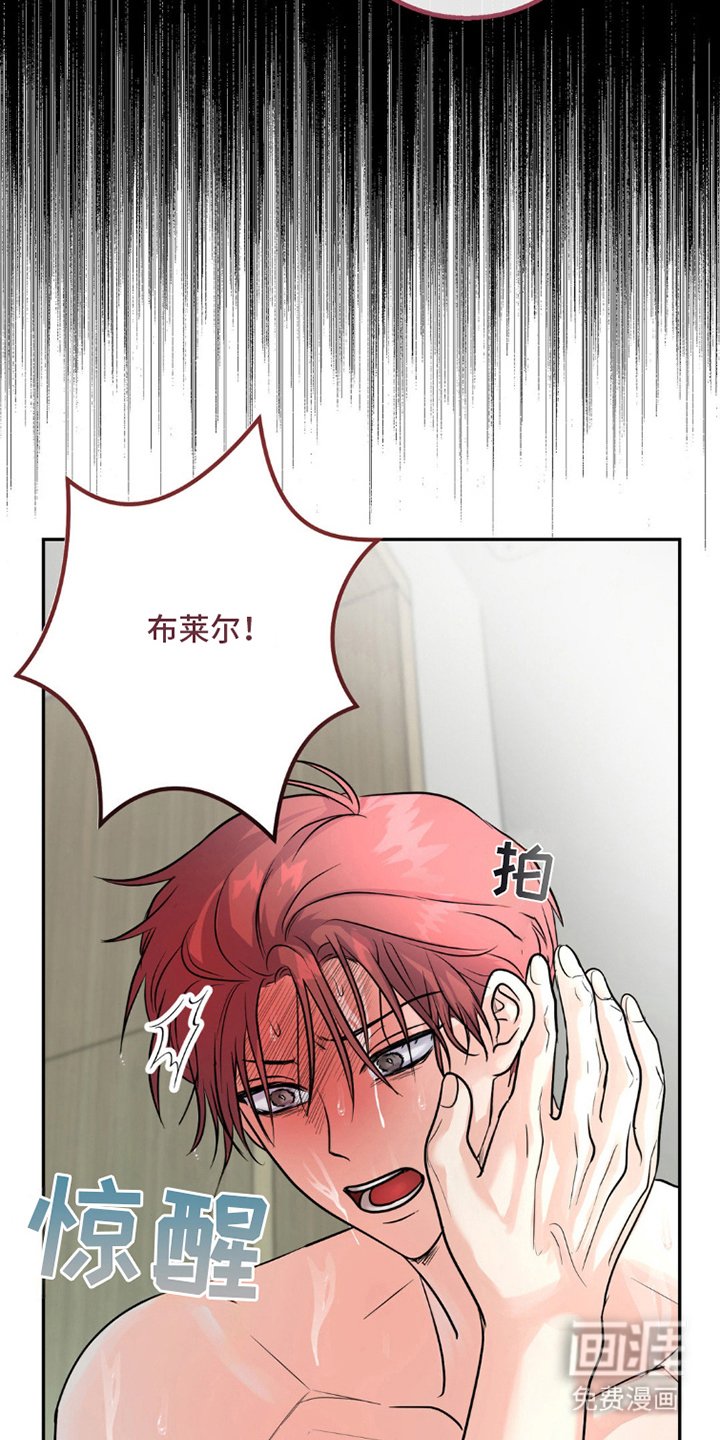 第11章：因为喜欢