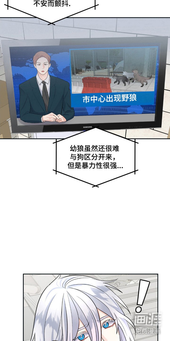第13章：剪头发