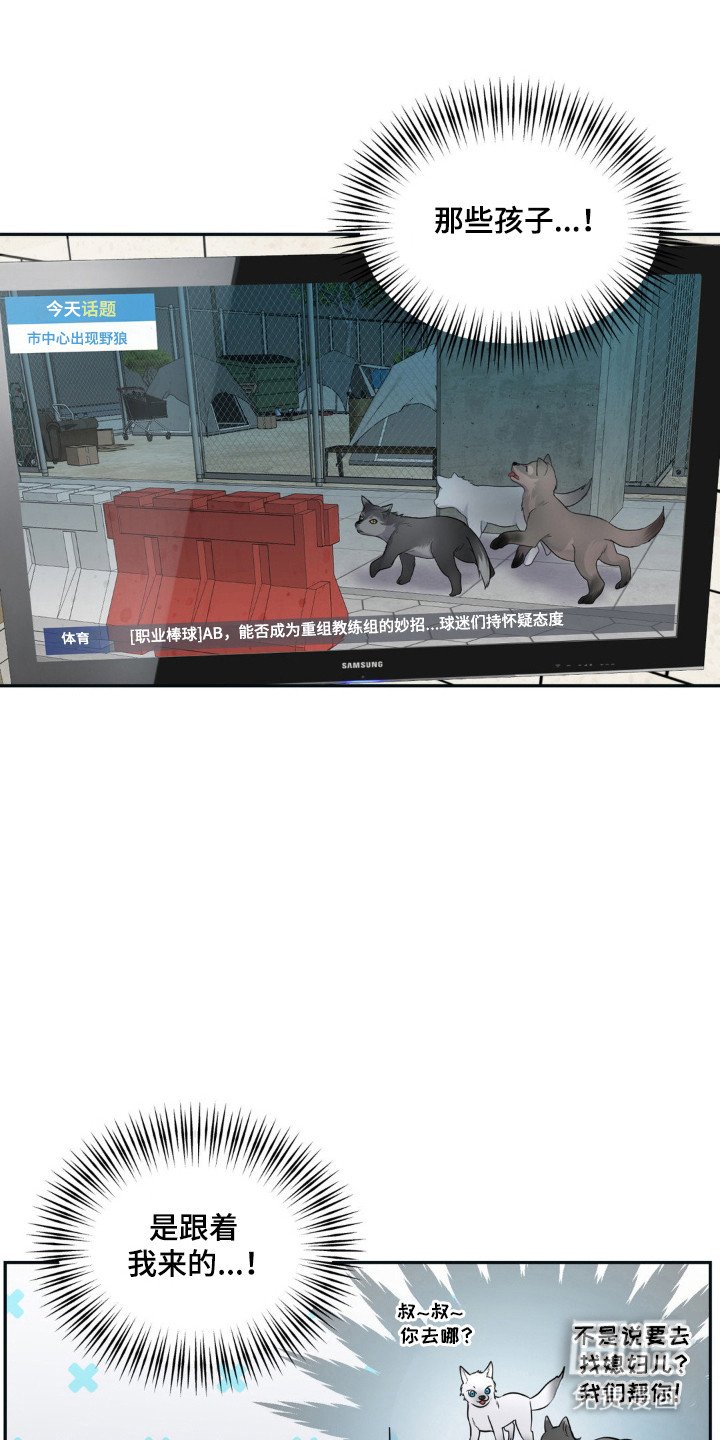 第14章：外出