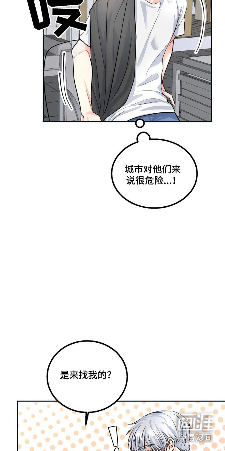 第14章：外出