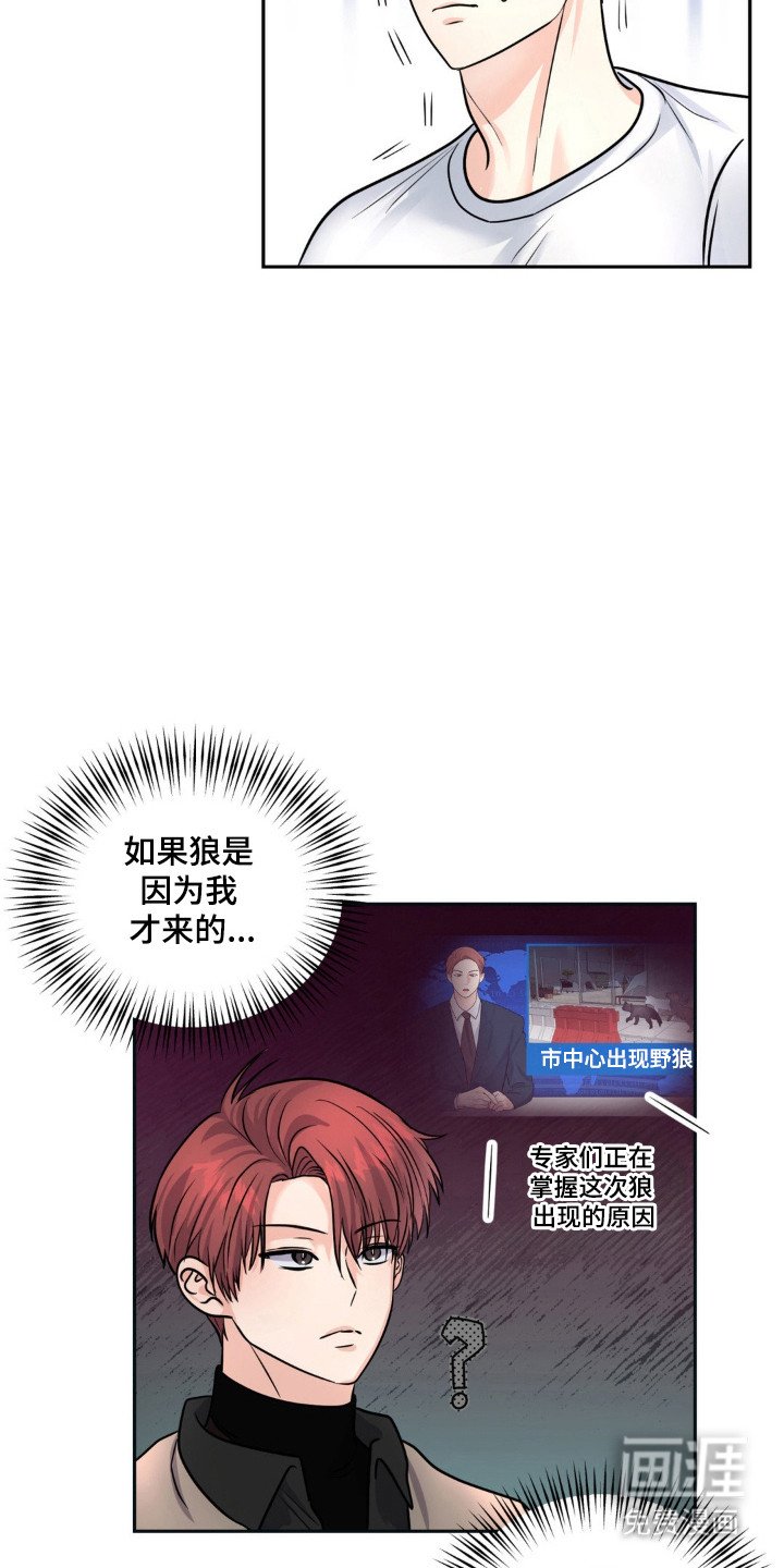 第14章：外出