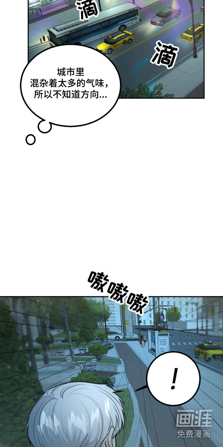 第15章：救狗