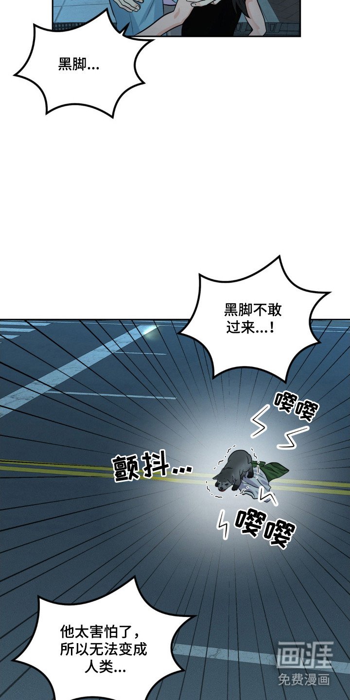 第15章：救狗