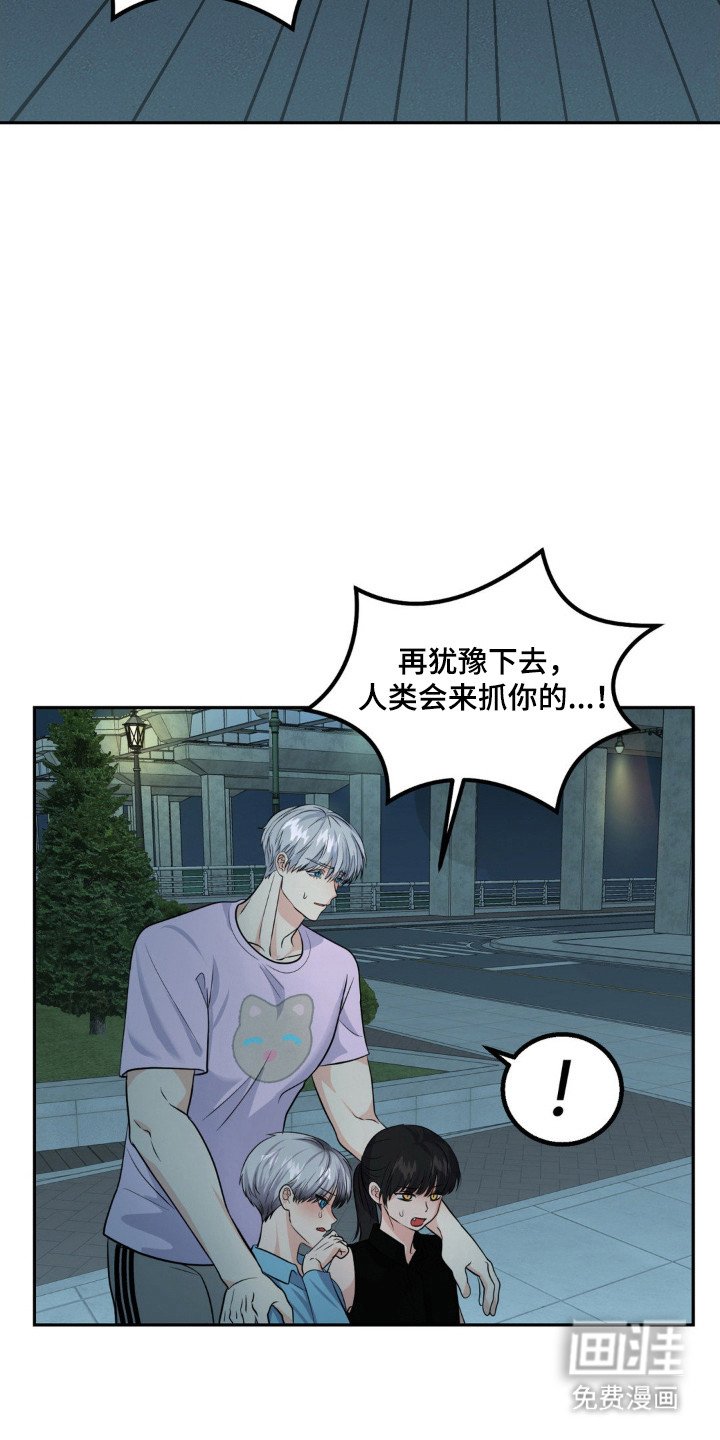第15章：救狗