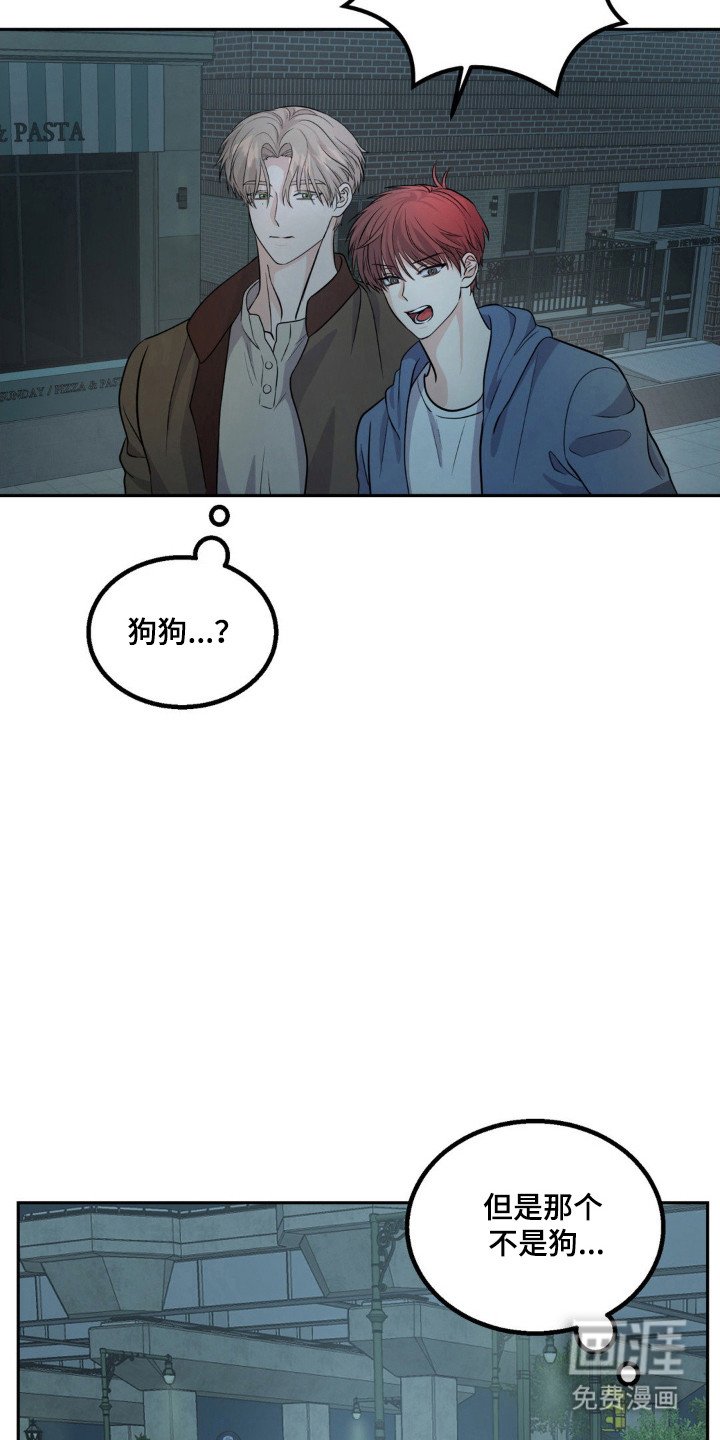 第15章：救狗