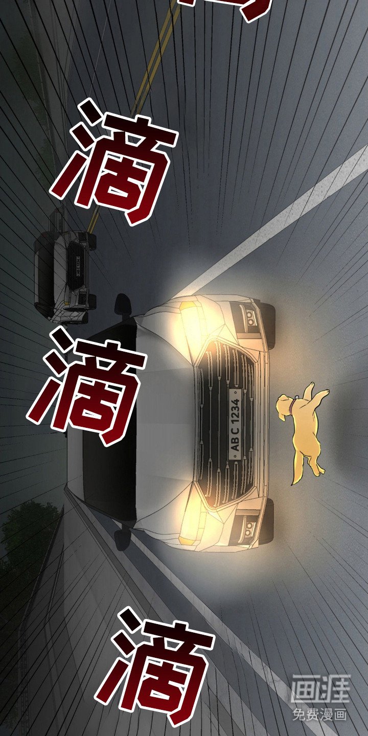 第15章：救狗