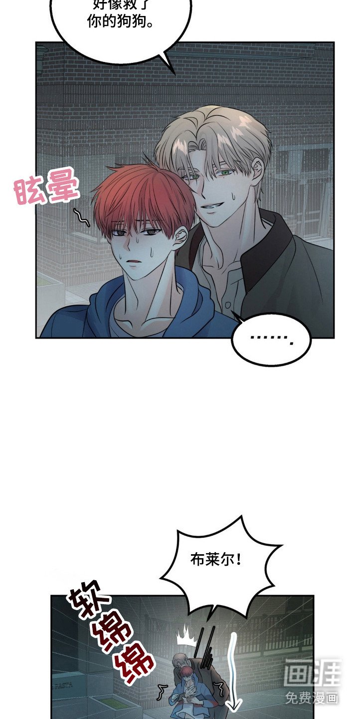 第15章：救狗