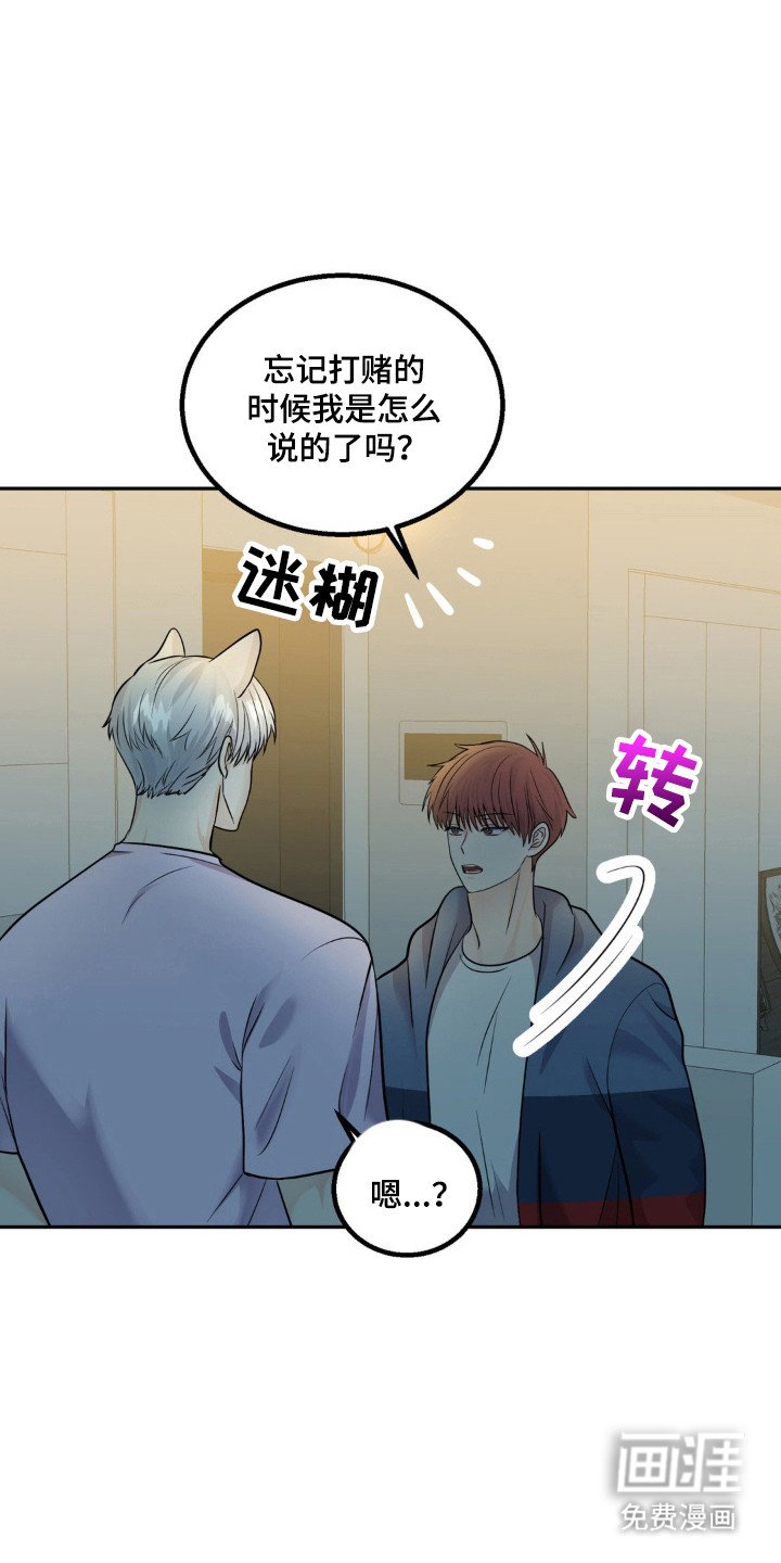 第17章：违反约定