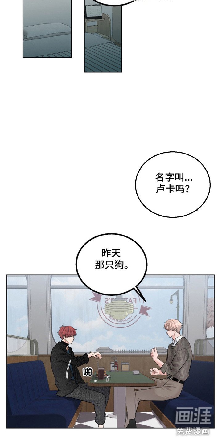 第19章：不在隐瞒