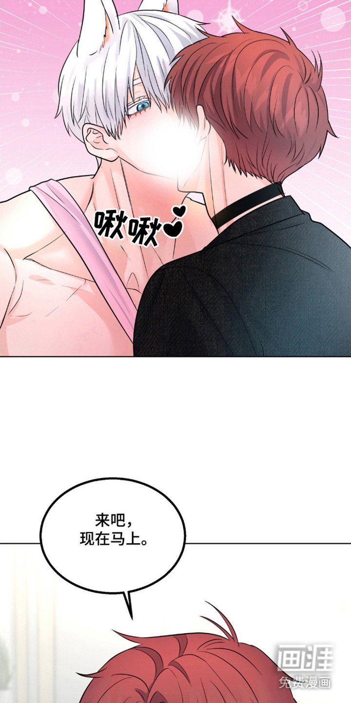 第19章：不在隐瞒