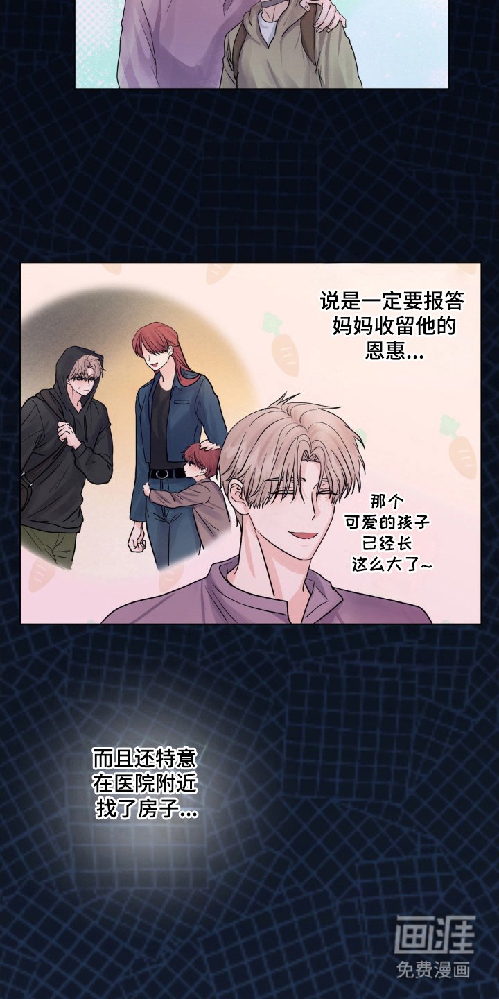 第20章：是否插手