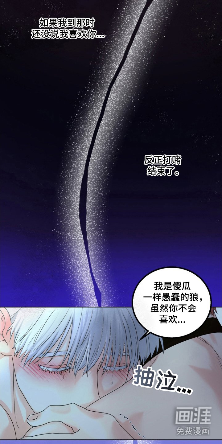 第21章：到此为止