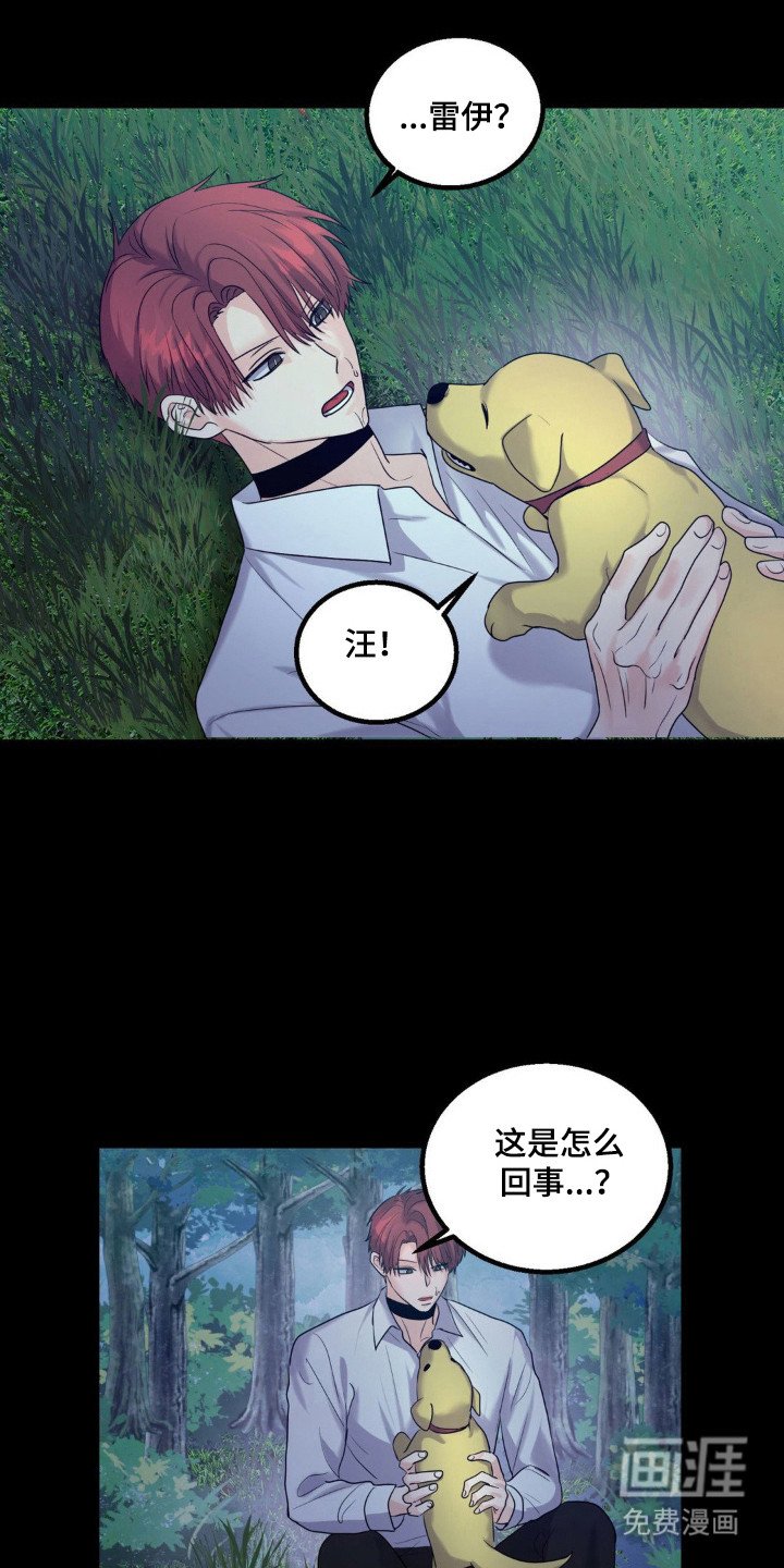 第22章：付出代价