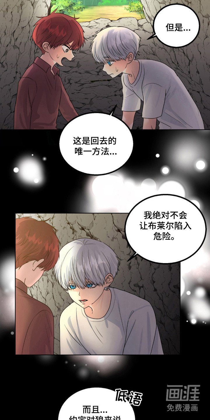 第23章：伴侣标志