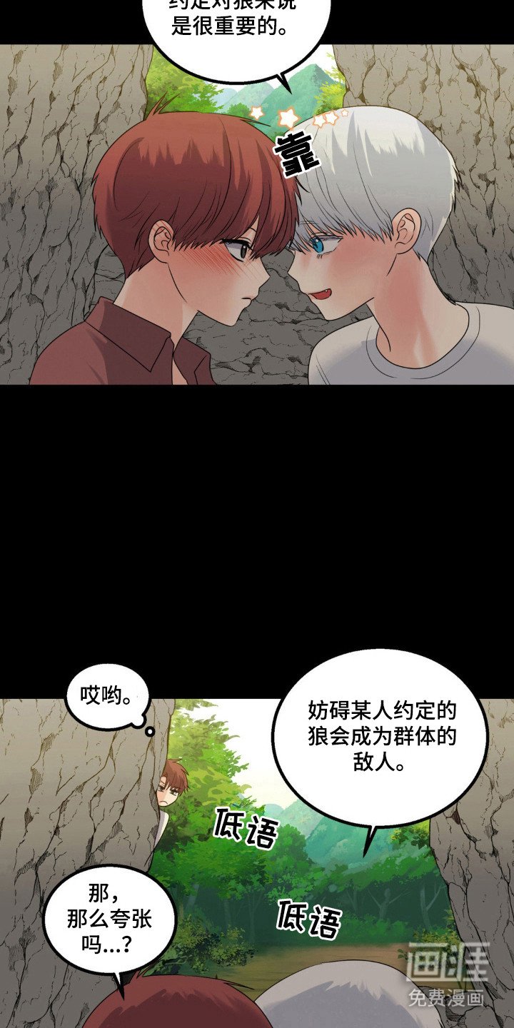 第23章：伴侣标志