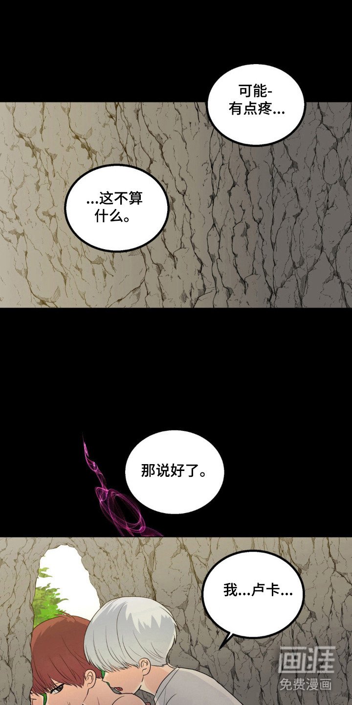 第23章：伴侣标志