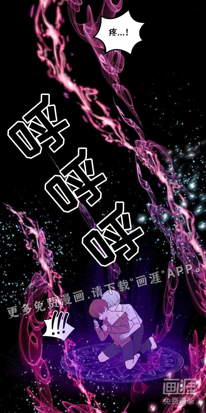 第23章：伴侣标志