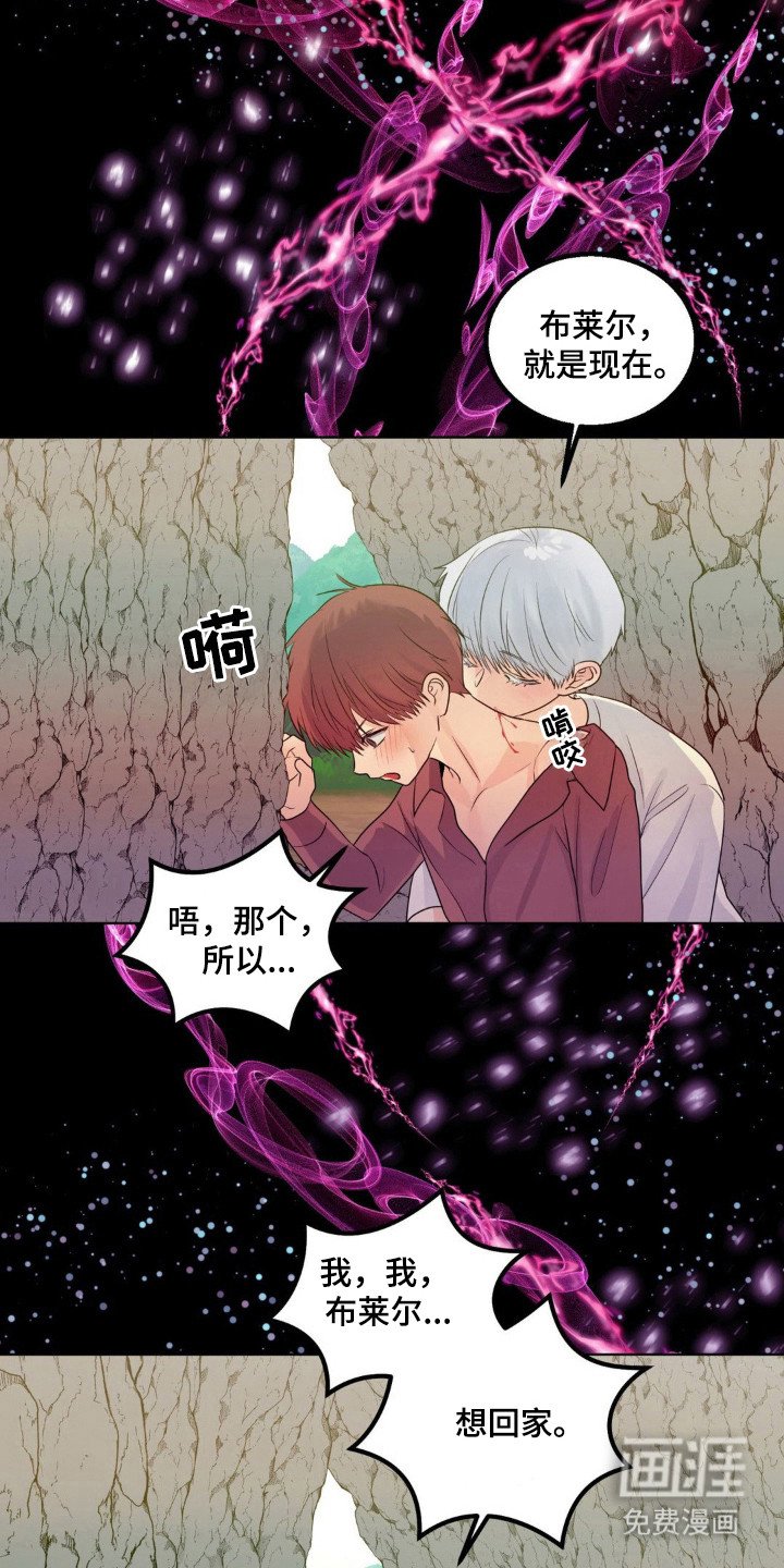 第23章：伴侣标志