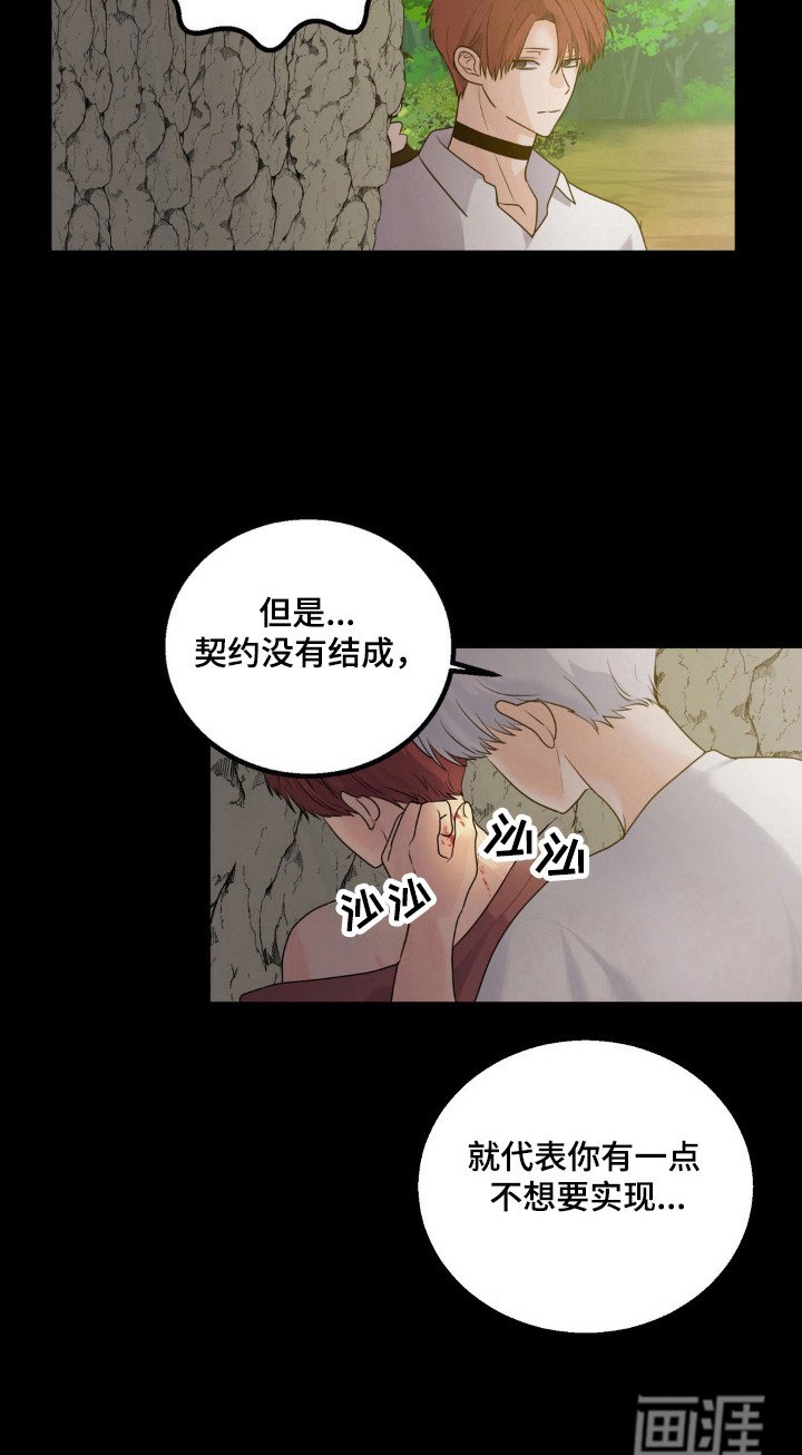 第23章：伴侣标志