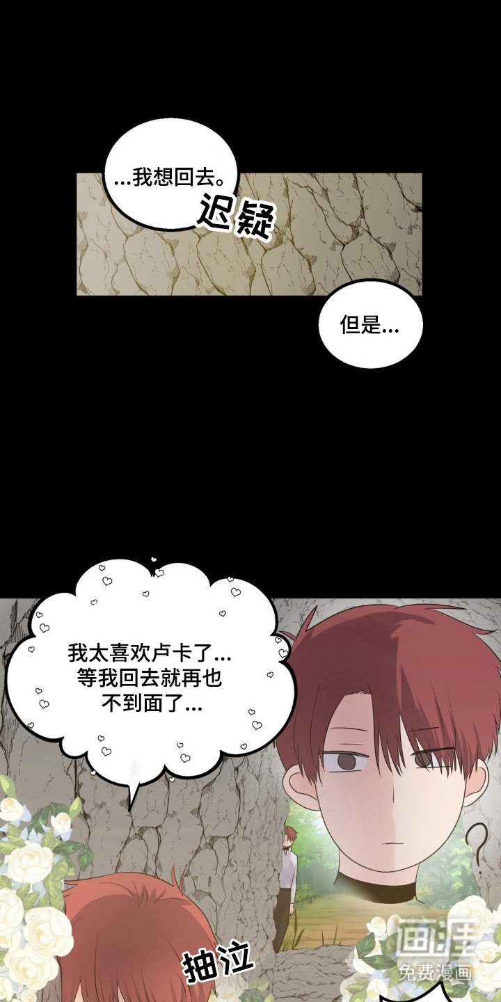 第23章：伴侣标志