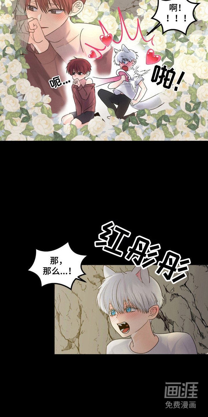 第23章：伴侣标志