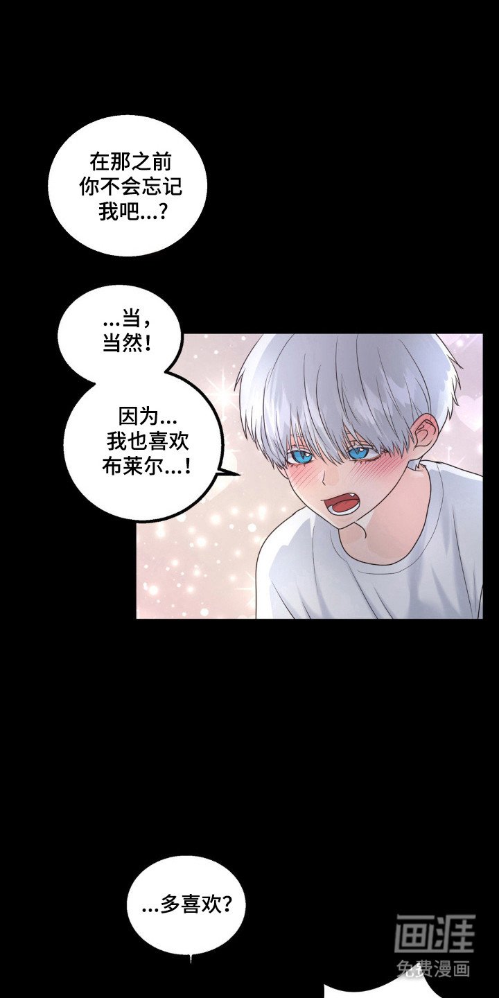 第23章：伴侣标志