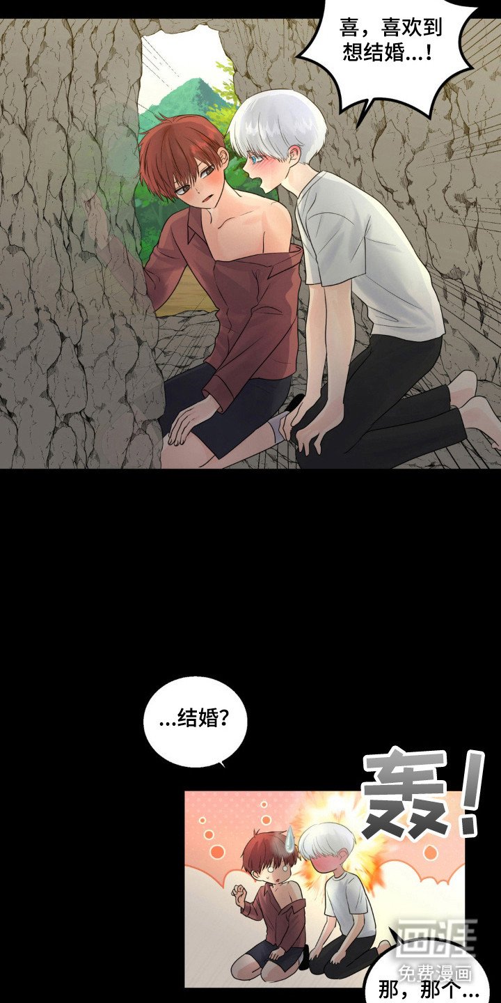 第23章：伴侣标志