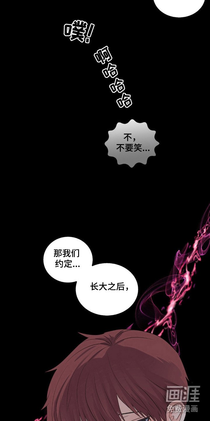 第23章：伴侣标志