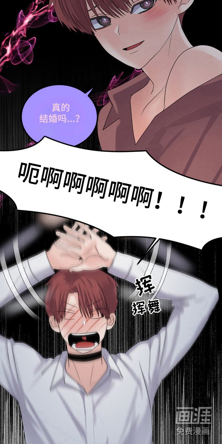 第23章：伴侣标志