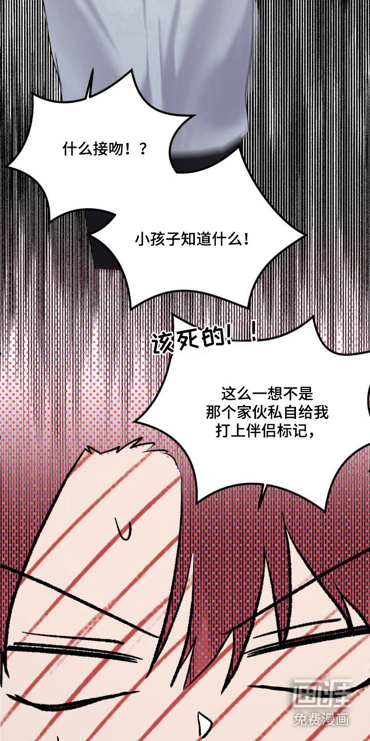 第23章：伴侣标志