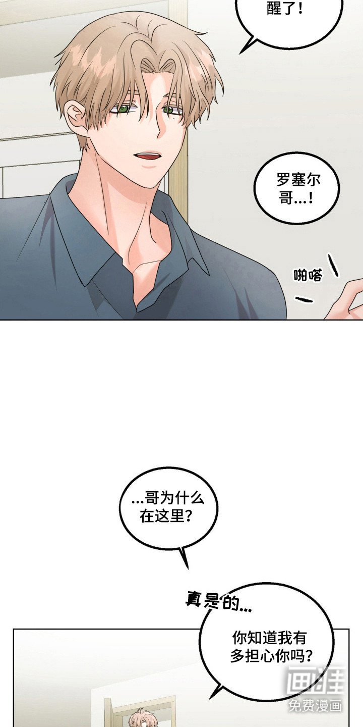 第23章：伴侣标志