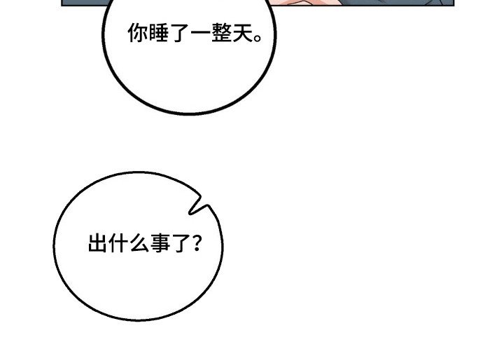 第23章：伴侣标志