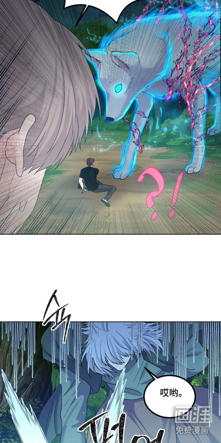 第26章：保护小狼
