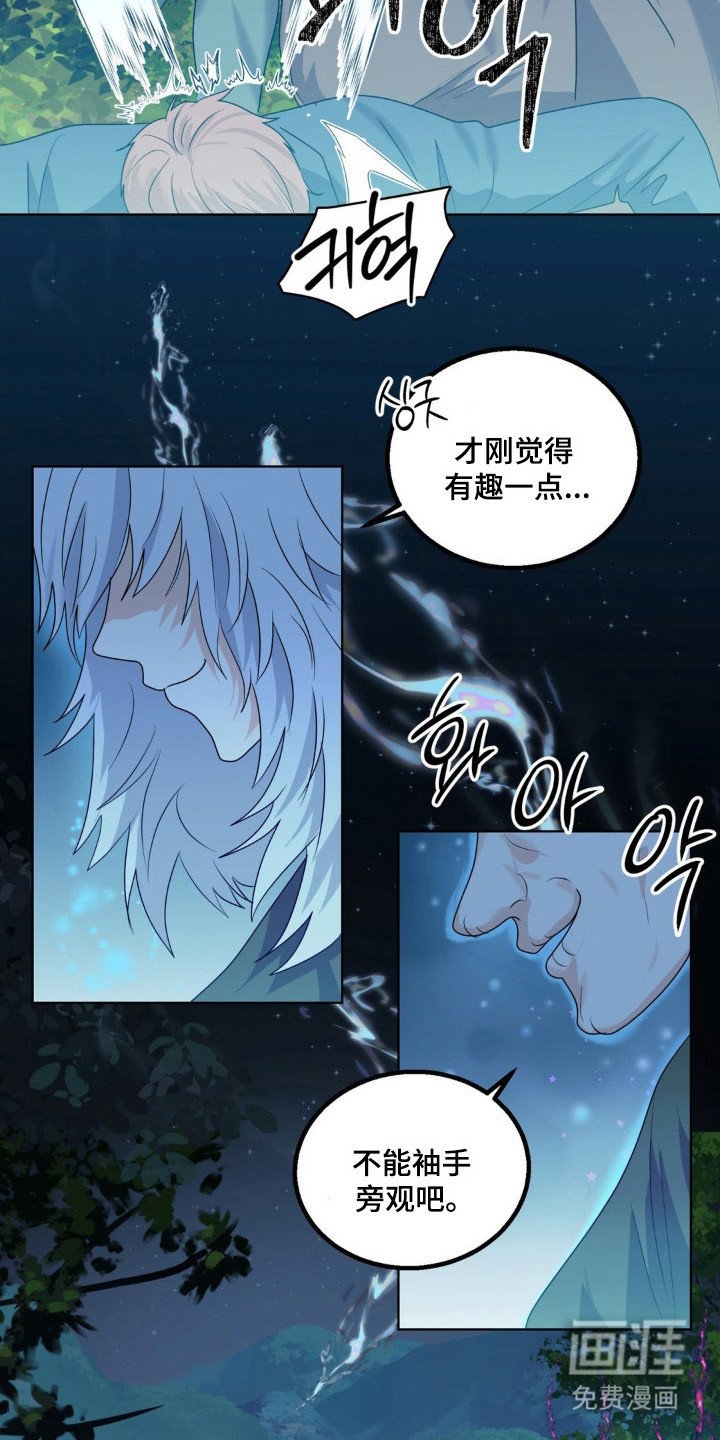 第26章：保护小狼