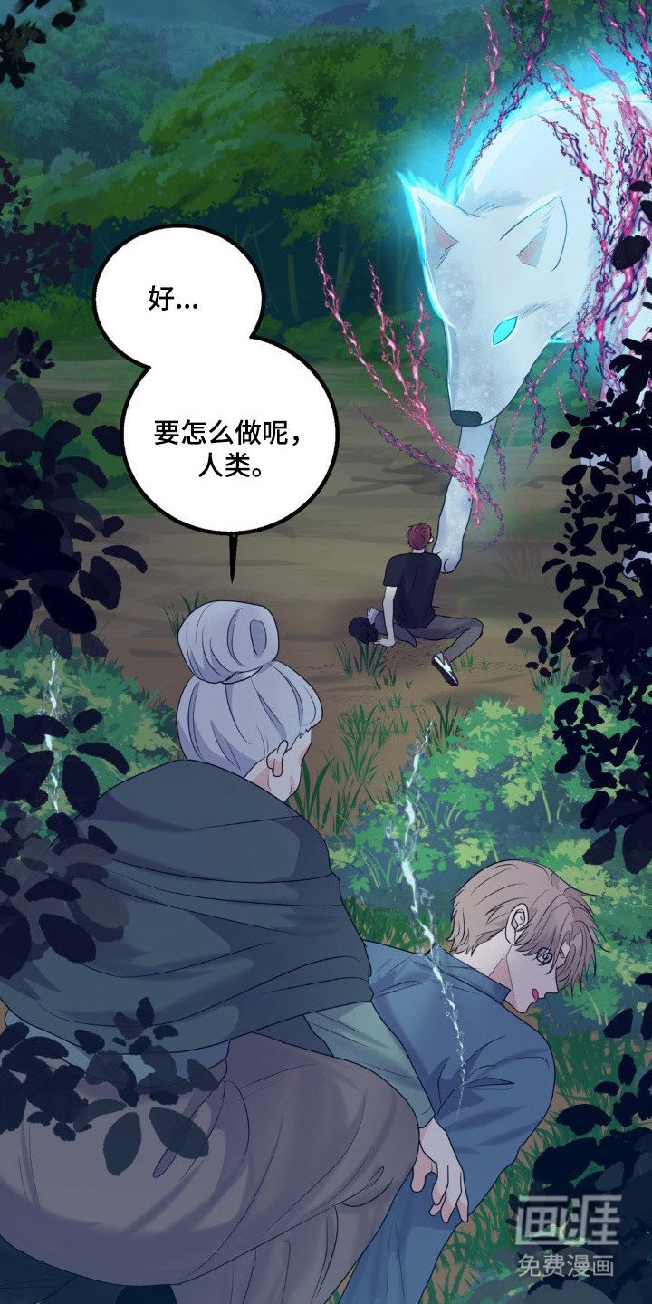 第26章：保护小狼