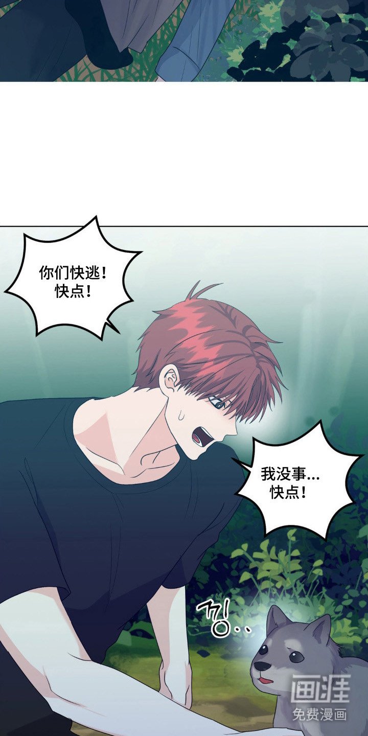 第26章：保护小狼