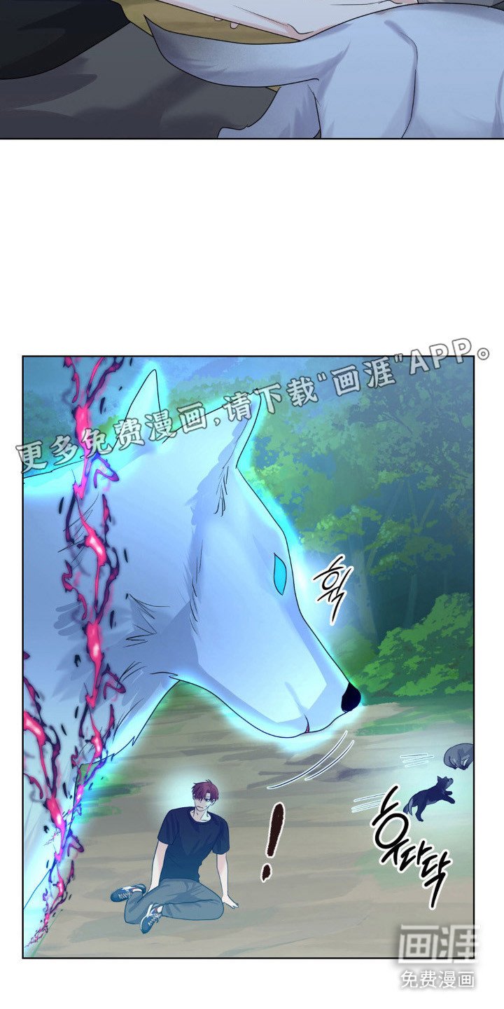 第26章：保护小狼