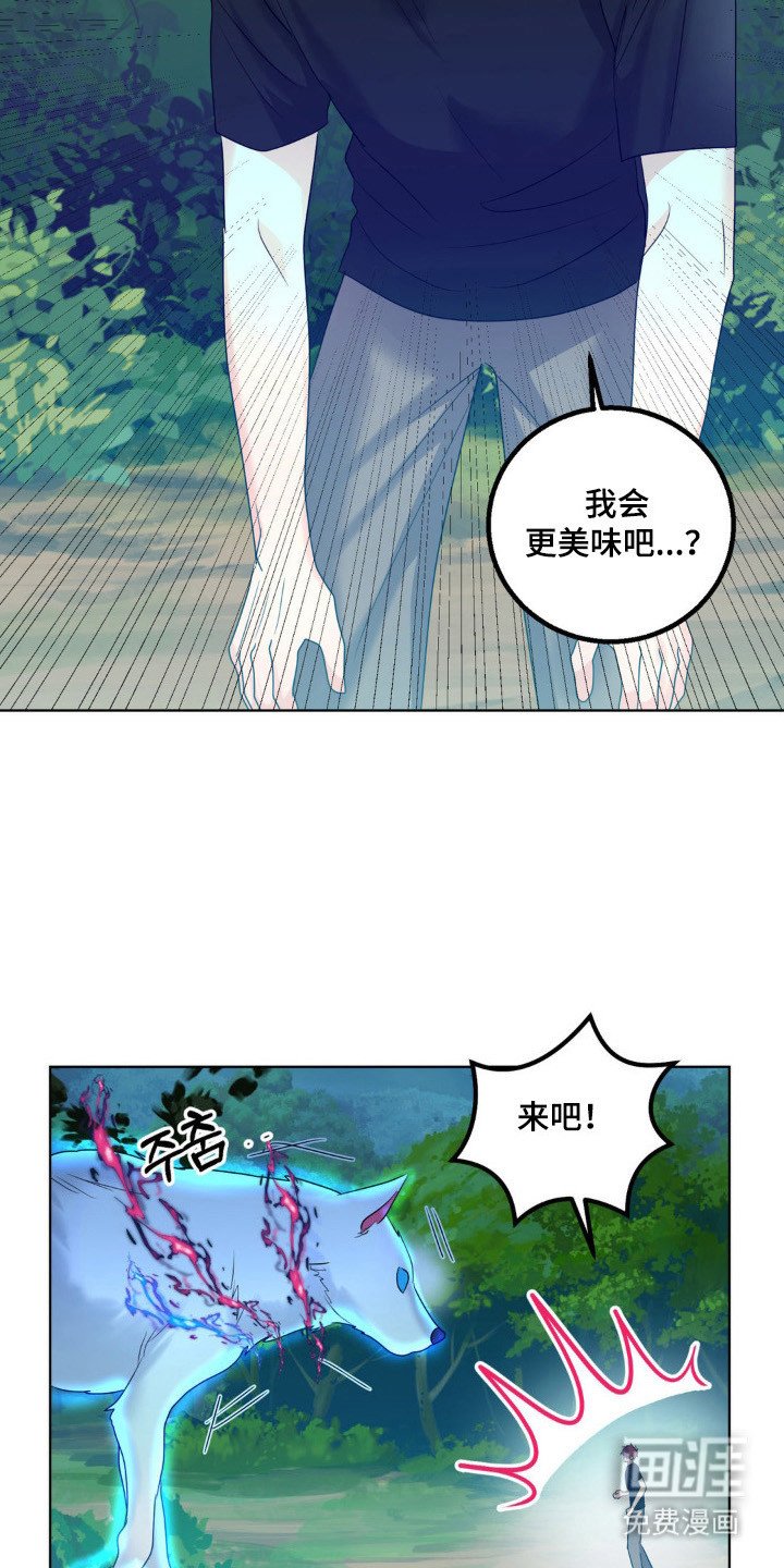 第26章：保护小狼