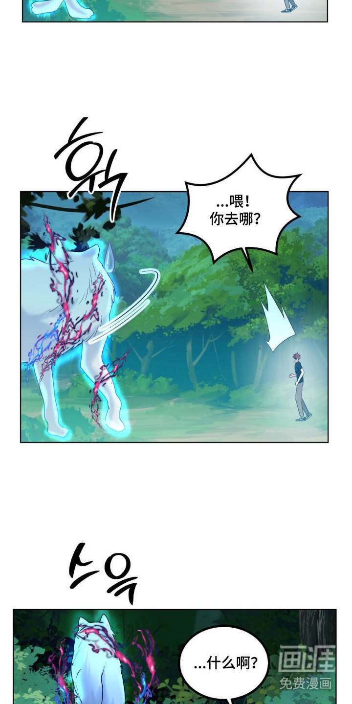 第26章：保护小狼