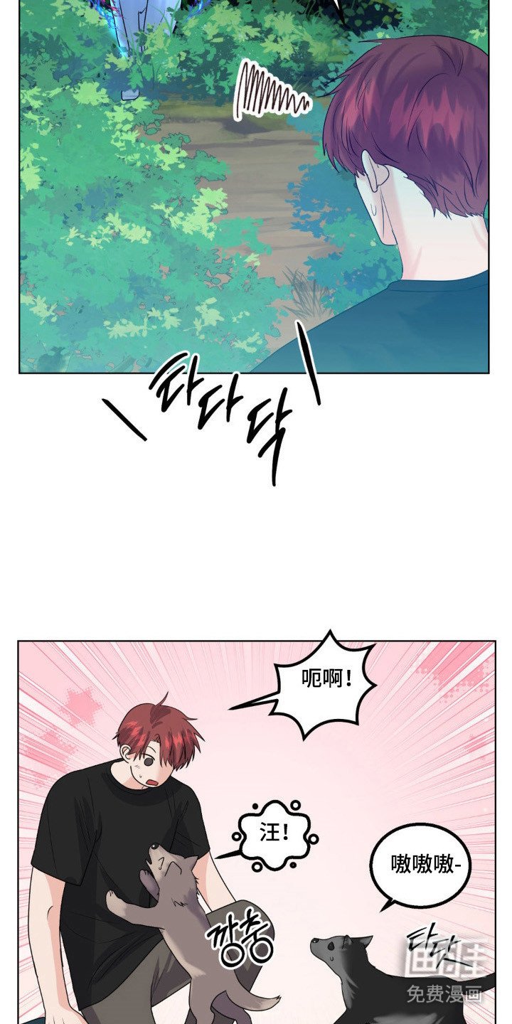 第26章：保护小狼