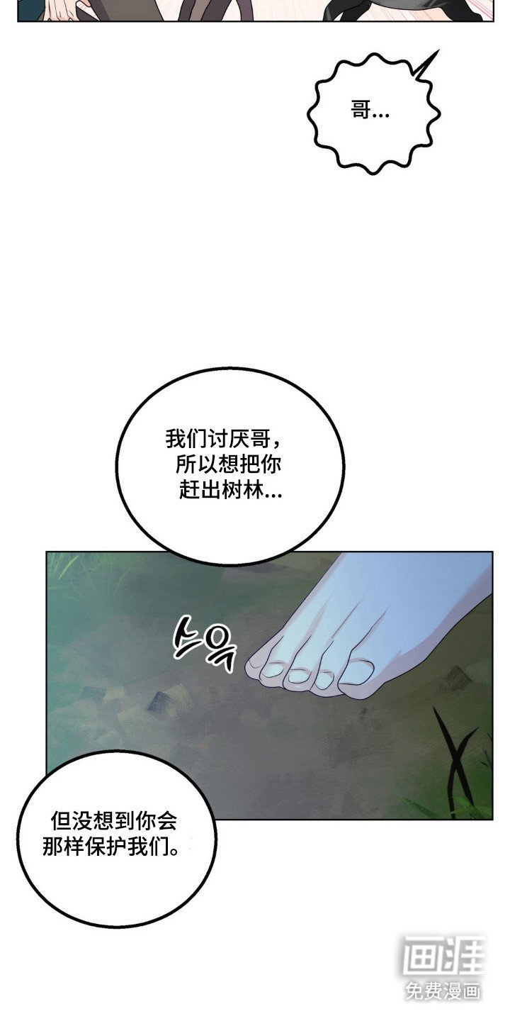 第26章：保护小狼