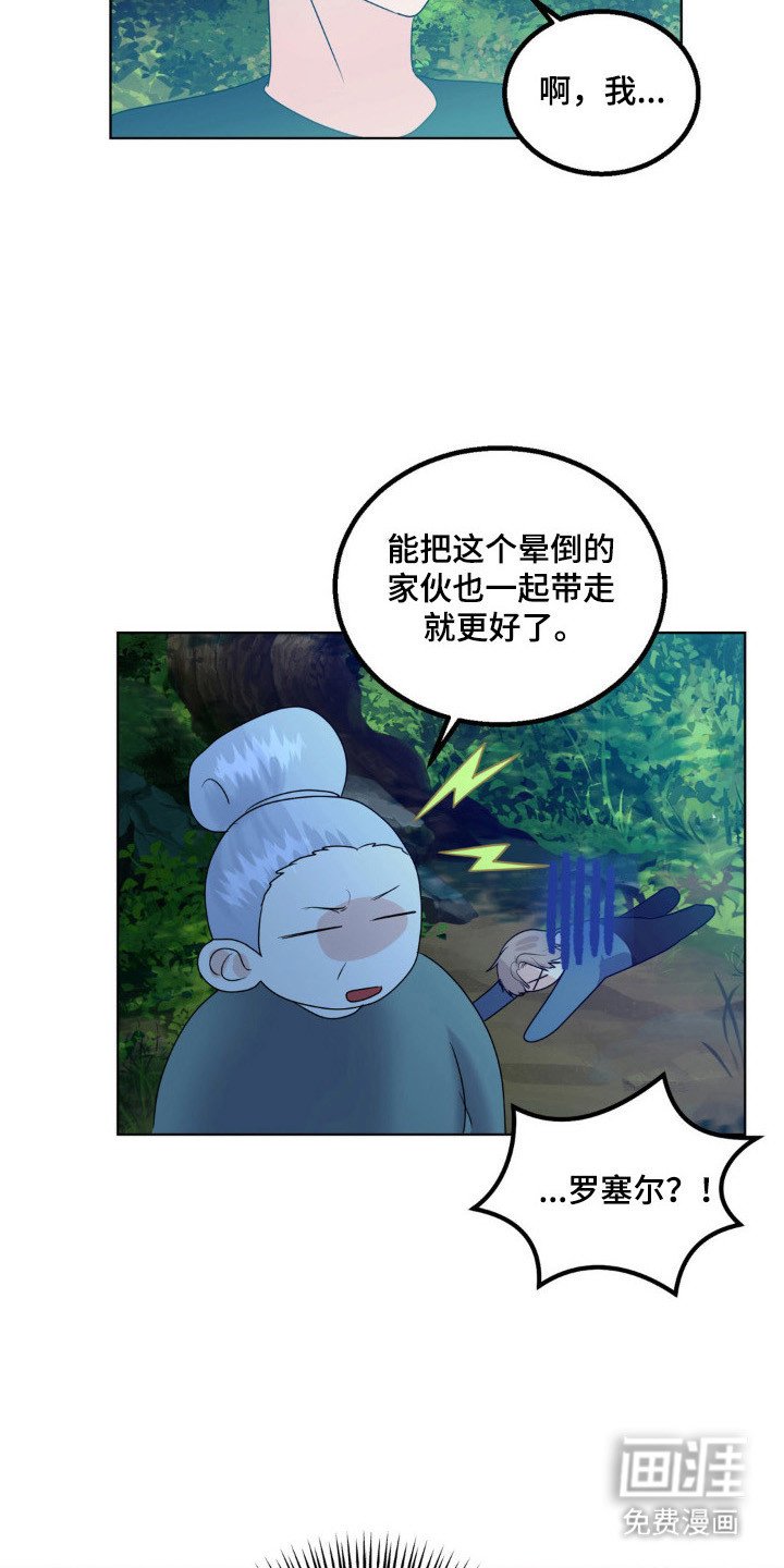 第26章：保护小狼