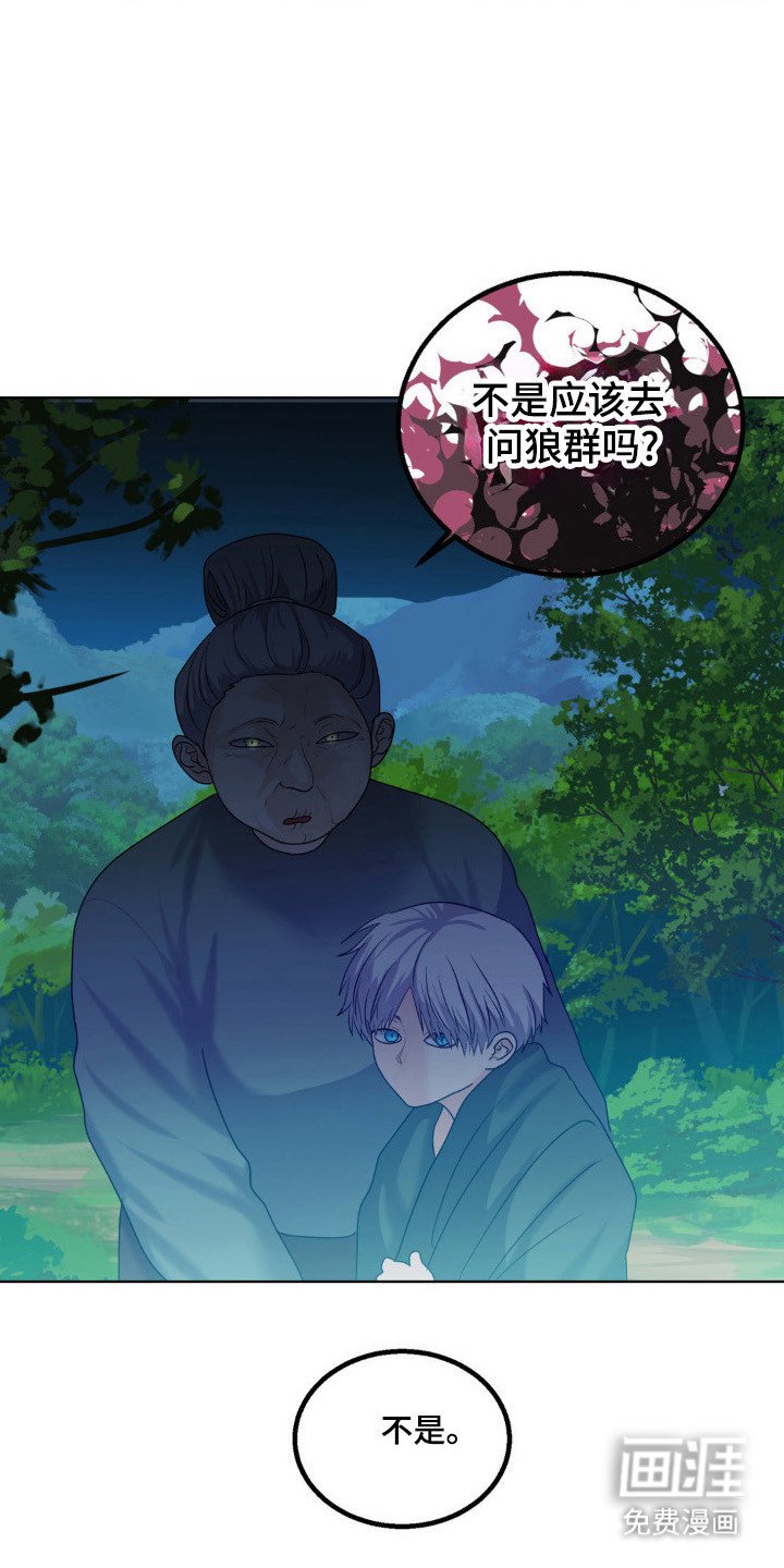 第26章：保护小狼
