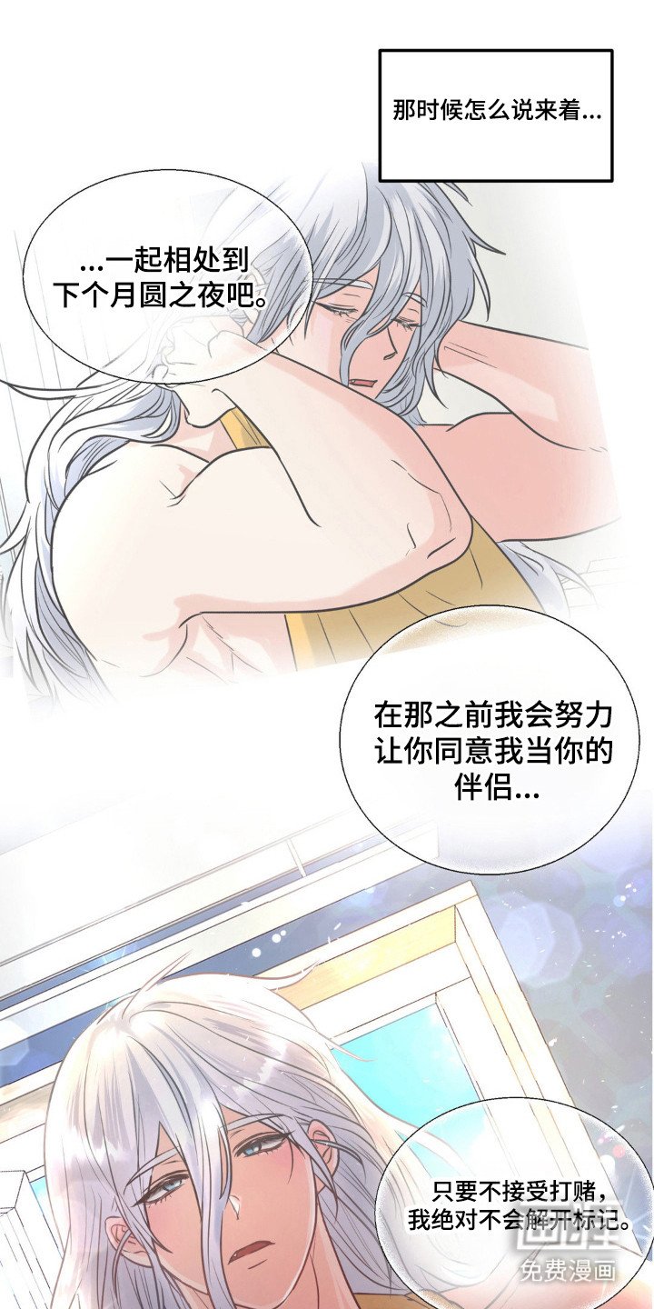 第29章：被发现