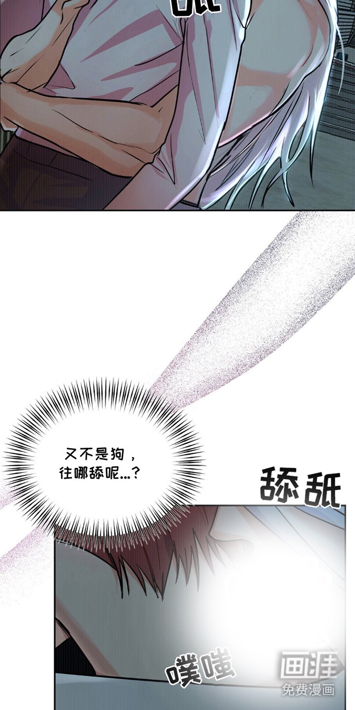 第3章：我来了