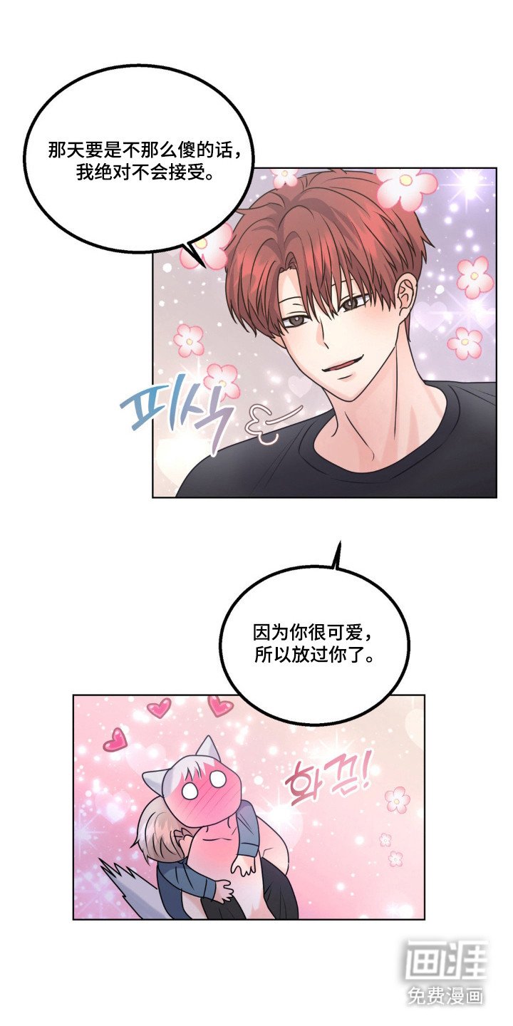 第30章：头痛过程