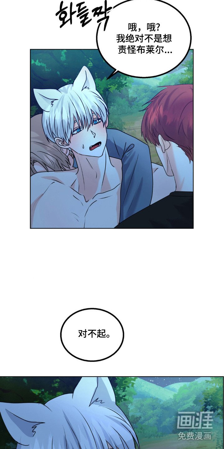 第30章：头痛过程