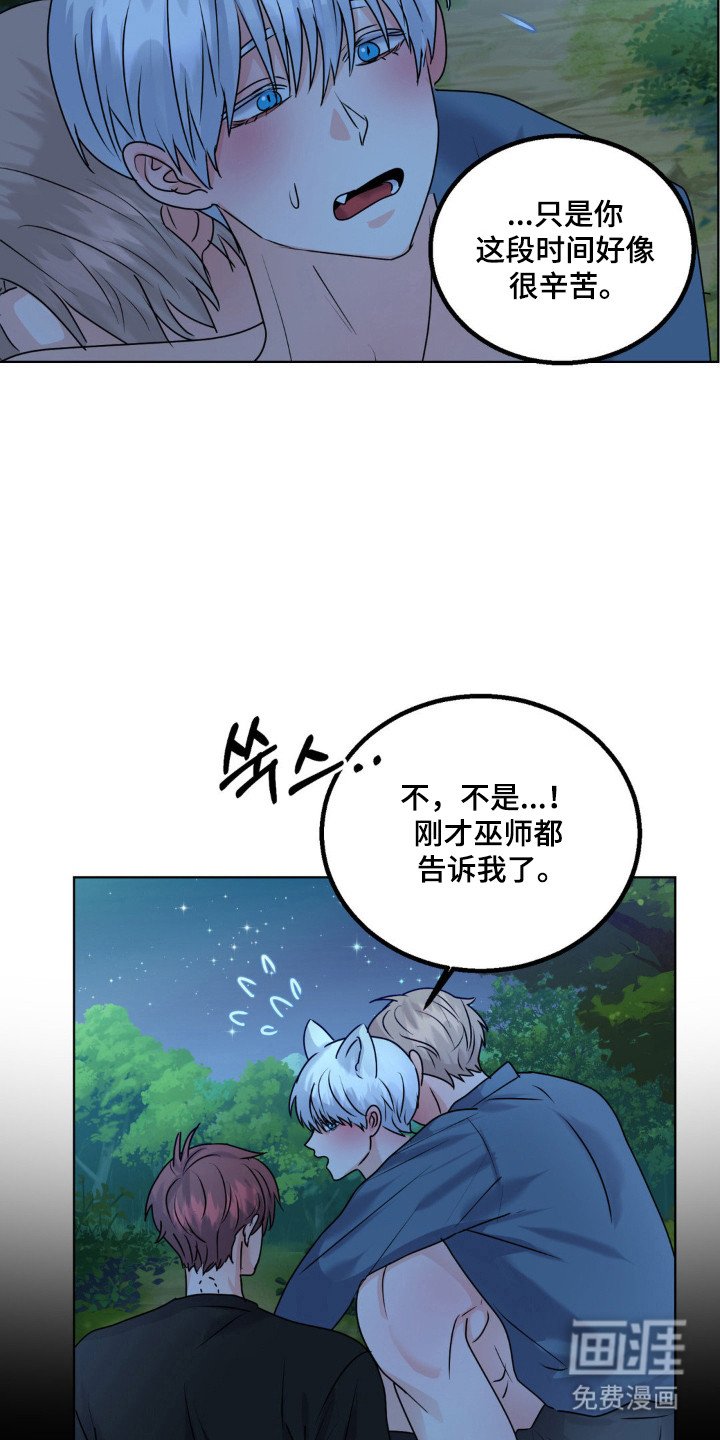 第30章：头痛过程