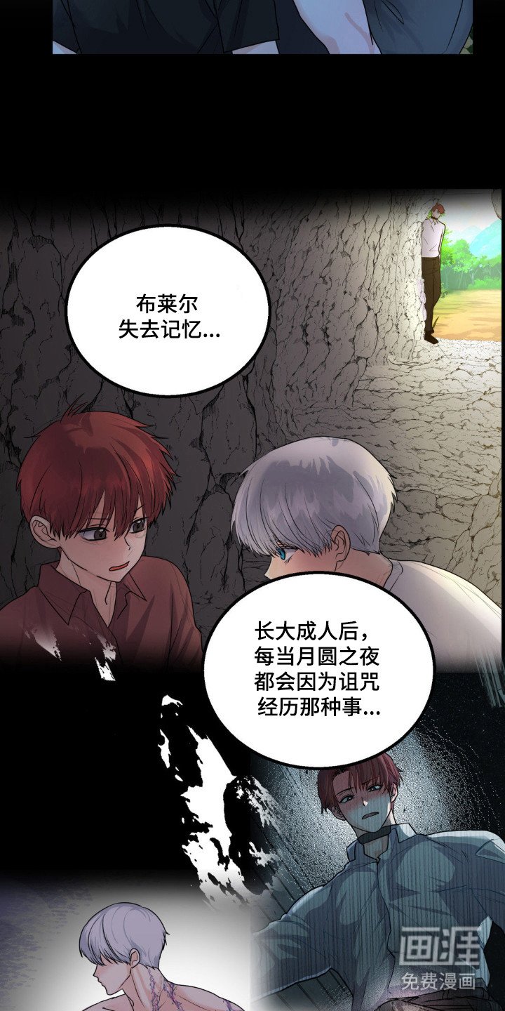 第30章：头痛过程
